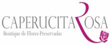 \\Camserver\documentos usuarios\Economia\Proyectos\Franquicias\Proyecto Franquicias\Consultorias\Componente 3\Proceso estructuración franquicias\datos para portal\2013\Caperucita Rosa\logo caperucita rosa.jpg